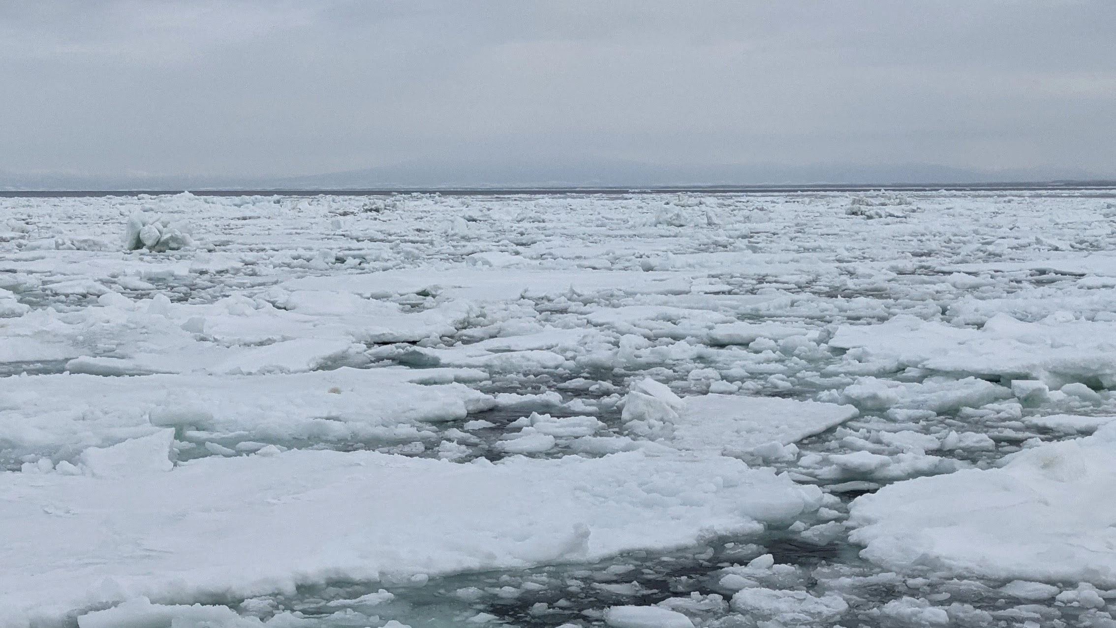 砕氷船から撮影した流氷の写真
